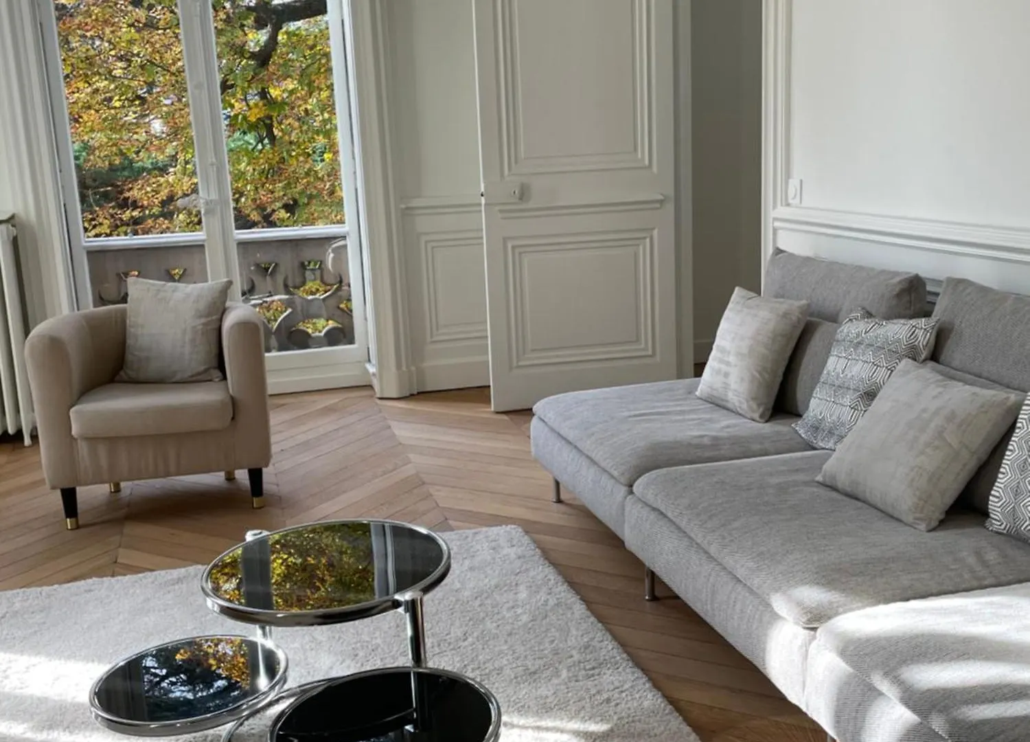 Grand Appartement D'Exception Au Chateau Randin Ecully