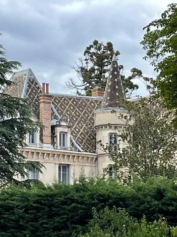 Grand Appartement D'Exception Au Chateau Randin Ecully 0*,  France