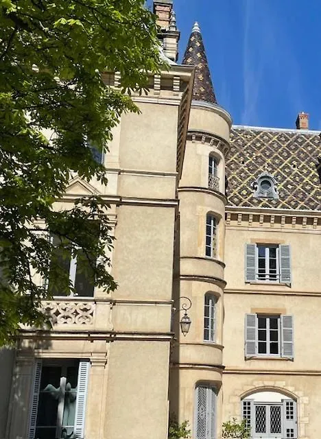 Grand Appartement D'Exception Au Chateau Randin Ecully