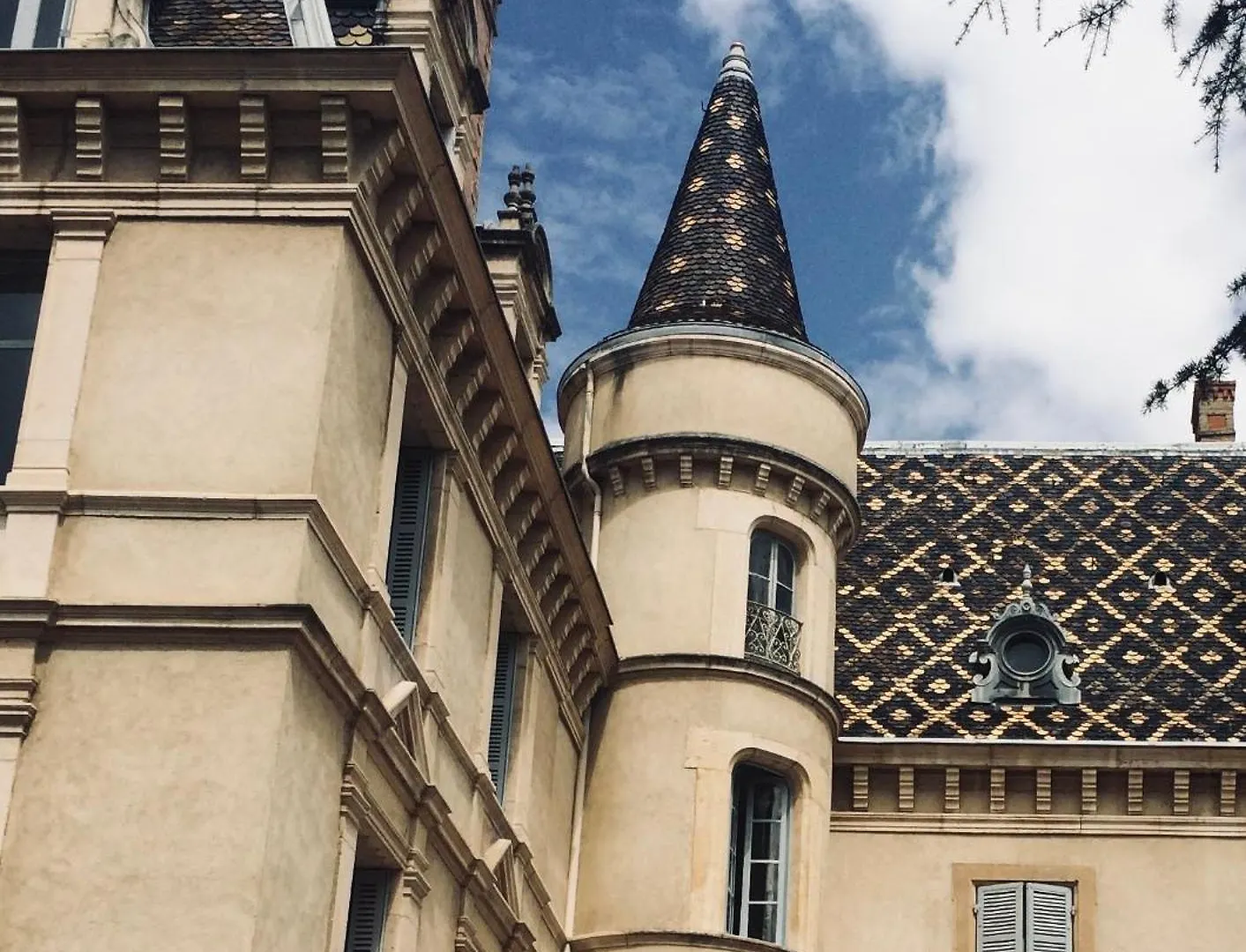 Apartamento Grand Appartement D'Exception Au Chateau Randin Écully
