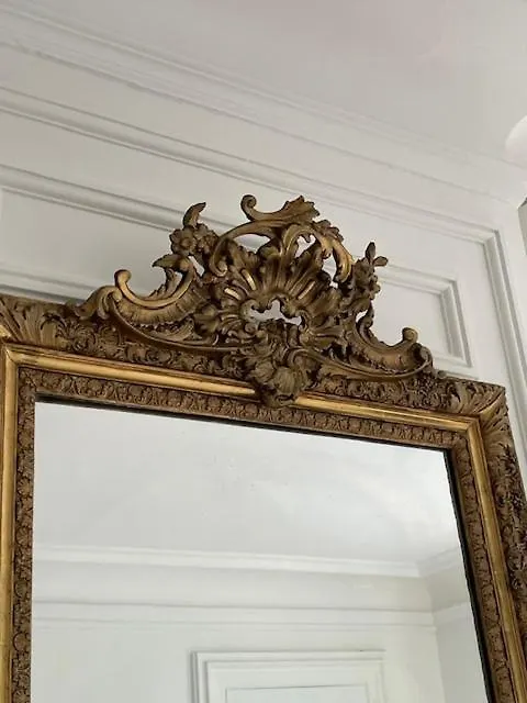Grand Appartement D'Exception Au Chateau Randin Écully Francia